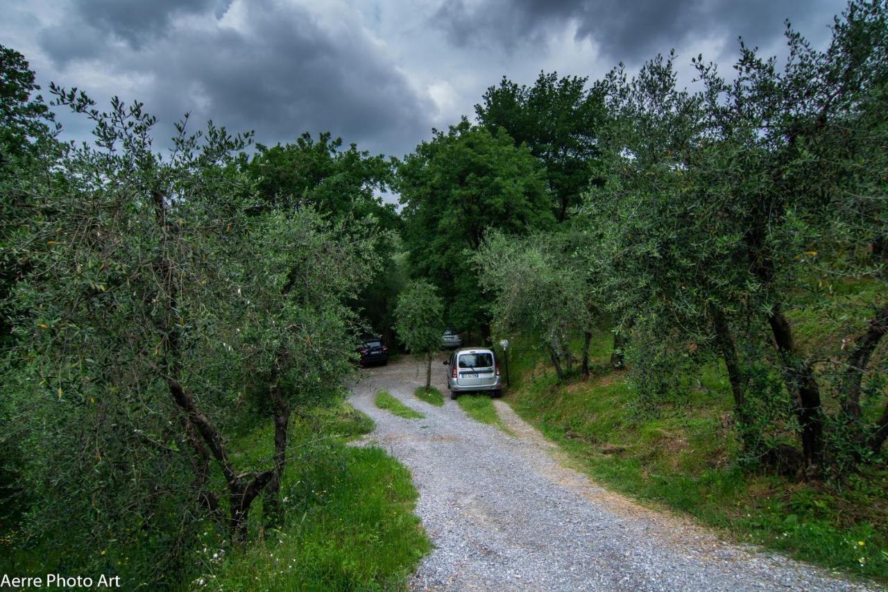 La Casina Dei Frati Villa Lucca Eksteriør bilde